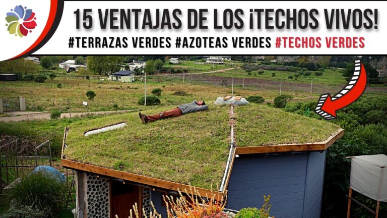 Ventajas de las Cubiertas Verdes para el Aislamiento Térmico en Viviendas