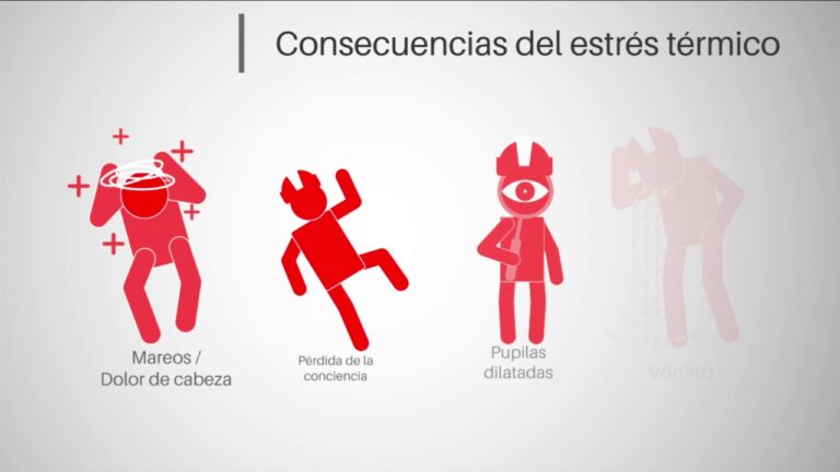Impacto del Aislamiento Térmico en el Ambiente Laboral
