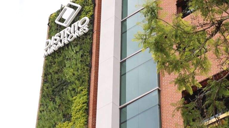 Sostenibilidad en la Oficina: Beneficios de los Muros Verdes