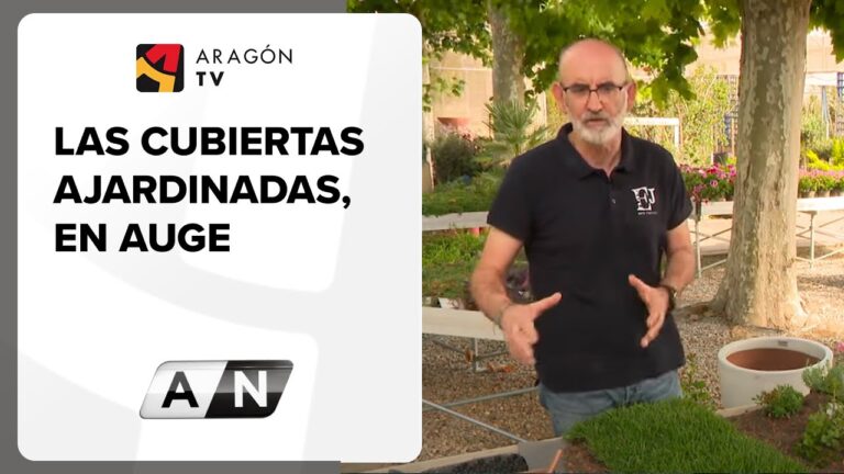Ahorro Energ&eacute;tico en Oficinas a trav&eacute;s de Cubiertas Verdes