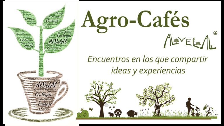 Beneficios Ambientales de las Cubiertas Verdes en Oficinas