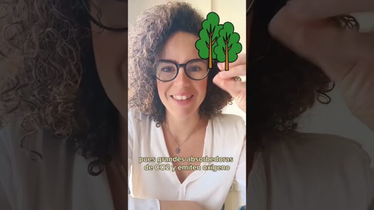 Mejorando la Eficiencia Energética en Oficinas con Cubiertas Verdes