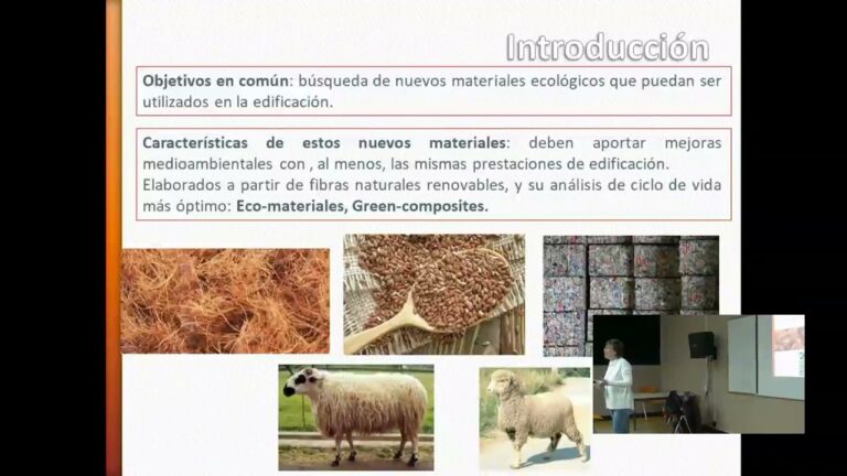 Lana de Roca: Eficiencia y Sostenibilidad en Aislamiento T&eacute;rmico