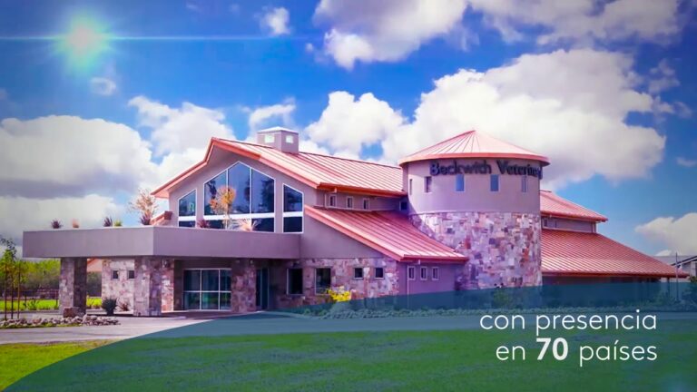 Ecoinnovaci&oacute;n: Soluciones de Aislamiento T&eacute;rmico y Paneles Solares